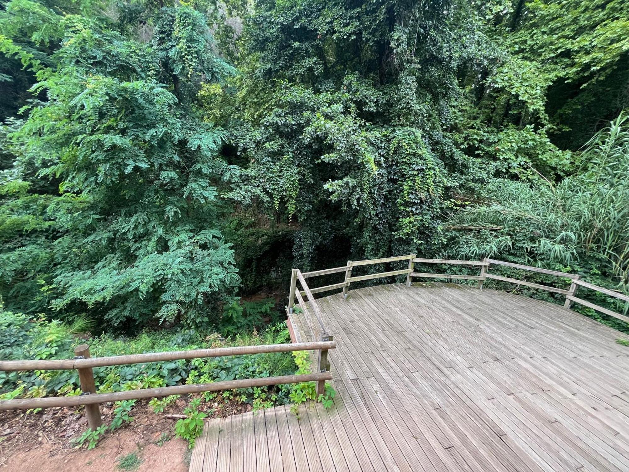 Apartamento El Mirador De La Farga Arbúcies المظهر الخارجي الصورة